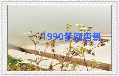 1990梦回唐朝